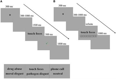 Opposite effects of estradiol and progesterone on woman's disgust processing